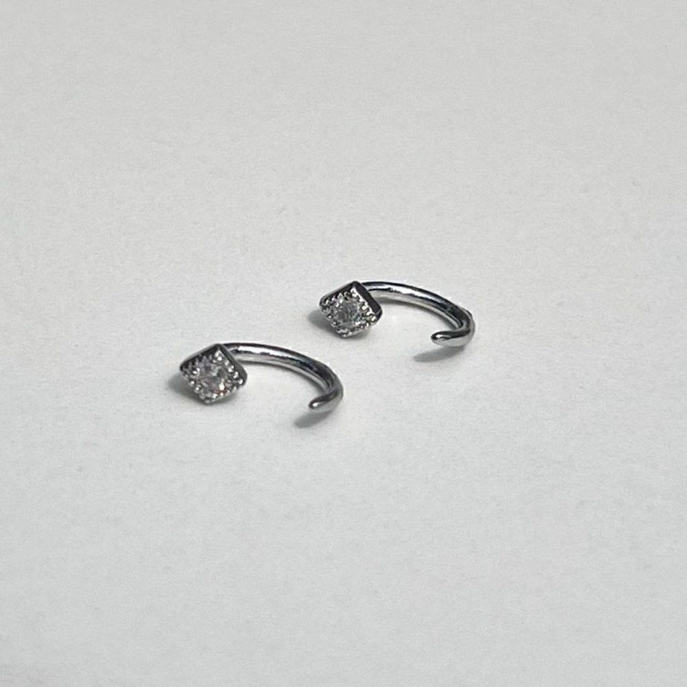 New! “Mona” Silver Loop-In Earrings